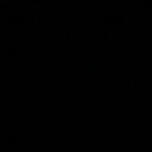 Meet your Posher, Maureen